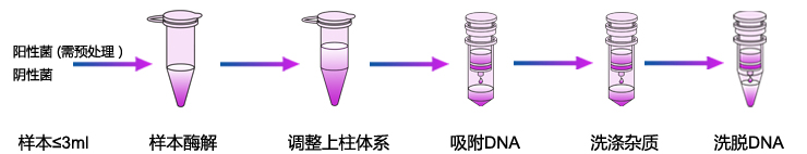 细菌基因组DNA提取 细菌基因组DNA提取