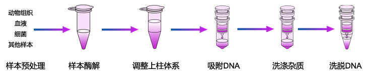 通用基因组DNA提取试剂盒 通用基因组DNA提取试剂盒