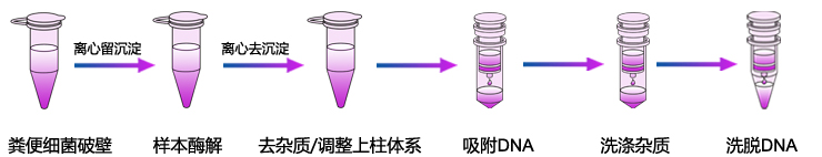粪便基因组DNA提取-1 粪便基因组DNA提取-1